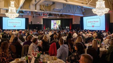 Summerland Catering event and food gallery photo 204